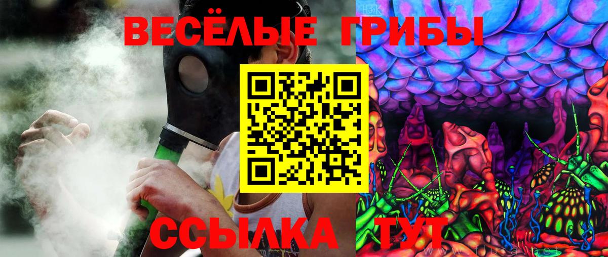 Глазов  Галлюциногенные грибы Psilocybe  Вход с VPN 