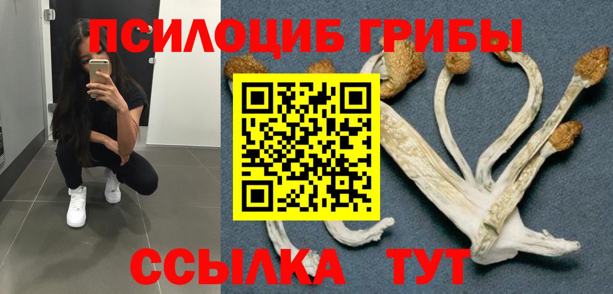 Галлюциногенные грибы GOLDEN TEACHER Глазов